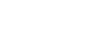 Logo 20