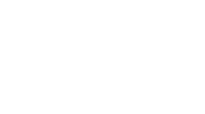 Logo 29